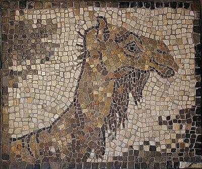 Camel Mosaic