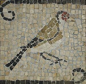 Finch Mosaic