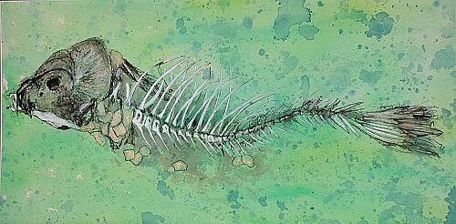 Fish Skeleton