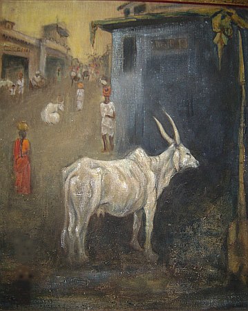 Sacred Cow