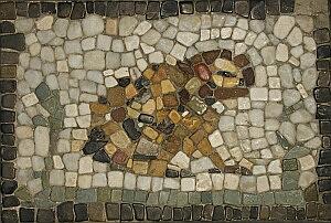 Toad Mosaic